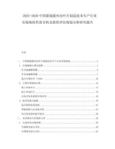 2025-2030中國新能源風電葉片制造技術生產行業市場現狀供需分析及投資評估規劃分析研究報告