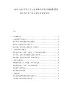 2025-2030中國信息技術服務商行業市場現狀供需分析及投資評估規劃分析研究報告