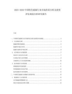 2025-2030中國特色能源行業市場供需分析及投資評估規劃分析研究報告