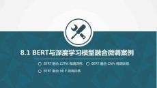 Python大模型基礎與智能應用課件  8-2.BERT與深度學習模型融合微調案例