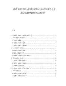 2025-2030中國太陽能電站行業市場現狀聚光分析及投資評估規劃分析研究報告