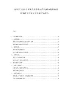 2025至2030中國無繩和和電池供電磁力鉆行業項目調研及市場前景預測評估報告