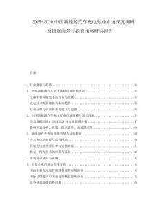 2025-2030中國新能源汽車充電行業市場深度調研及投資前景與投資策略研究報告