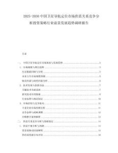 2025-2030中國衛星導航定位市場供需關系競爭分析投資策略行業前景發展趨勢調研報告