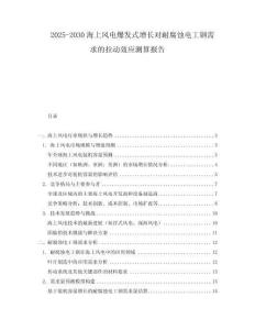 2025-2030海上風電爆發式增長對耐腐蝕電工鋼需求的拉動效應測算報告