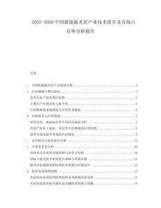 2025-2030中國新能源光伏產業技術進步及市場占有率分析報告