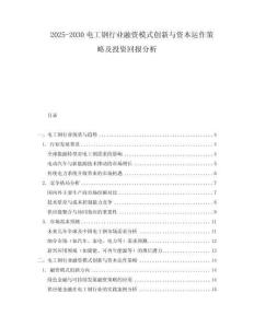 2025-2030電工鋼行業融資模式創新與資本運作策略及投資回報分析