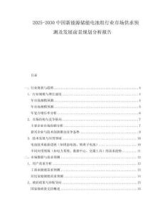 2025-2030中國新能源儲能電池組行業市場供求預測及發展前景規劃分析報告