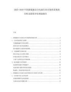 2025-2030中國新能源動力電池行業市場供需現狀分析及投資評估規劃報告