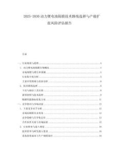 2025-2030動力鋰電池隔膜技術路線選擇與產能擴張風險評估報告