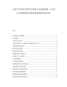 2025至2030中國(guó)SUV和皮卡電動(dòng)窗電機(jī)（12伏）行業(yè)深度研究及發(fā)展前景投資評(píng)估分析