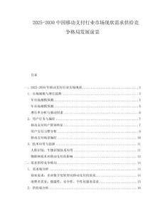 2025-2030中國移動支付行業市場現狀需求供給競爭格局發展前景