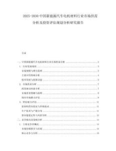 2025-2030中國新能源汽車電機材料行業市場供需分析及投資評估規劃分析研究報告