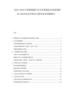 2025-2030中國新能源汽車自動駕駛技術發展調研及主流企業競爭格局與投資前景預測報告