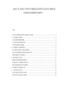 2025至2030中國汽車燃油分供管行業項目調研及市場前景預測評估報告
