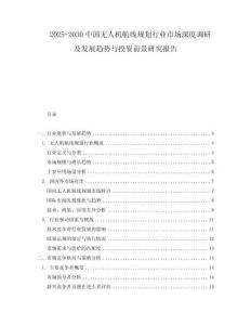 2025-2030中國無人機航線規劃行業市場深度調研及發展趨勢與投資前景研究報告