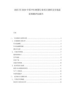 2025至2030中國PVB樹脂行業項目調研及市場前景預測評估報告