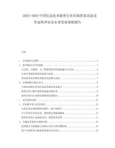2025-2030中國(guó)信息技術(shù)服務(wù)行業(yè)市場(chǎng)供需動(dòng)態(tài)競(jìng)爭(zhēng)態(tài)勢(shì)評(píng)估及未來(lái)發(fā)展策略報(bào)告