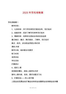 2025年羽毛球教案