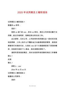 2025年試用期員工離職報告