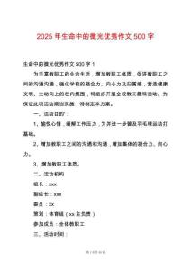 2025年生命中的微光優(yōu)秀作文500字