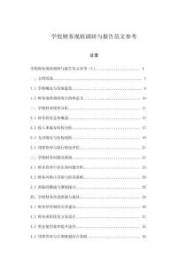 學(xué)校財(cái)務(wù)現(xiàn)狀調(diào)研與報(bào)告范文參考