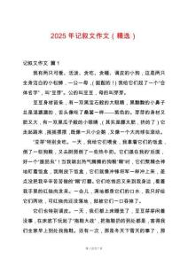 2025年記敘文作文（精選）