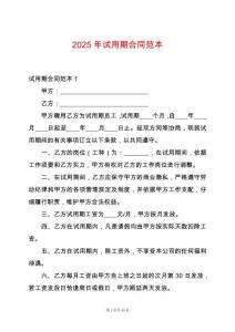 2025年試用期合同范本