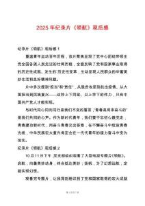 2025年紀錄片《領航》觀后感