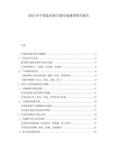 2025年中國旋風集塵器市場調查研究報告
