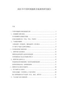 2025年中國(guó)絲絨拖鞋市場(chǎng)調(diào)查研究報(bào)告