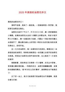 2025年美麗的油菜花作文
