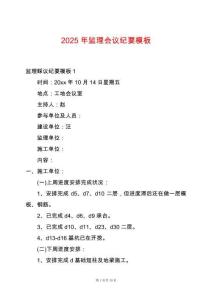 2025年監(jiān)理會議紀要模板