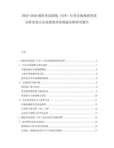 2025-2030圓柱形切割線(xiàn)（CCW）行業(yè)市場(chǎng)現(xiàn)狀供需分析及重點(diǎn)企業(yè)投資評(píng)估規(guī)劃分析研究報(bào)告