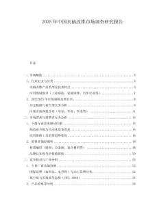 2025年中國夾柄改錐市場調(diào)查研究報告