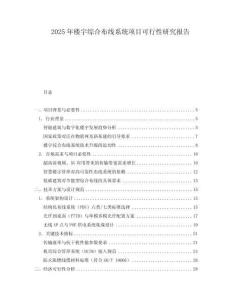 2025年樓宇綜合布線系統(tǒng)項目可行性研究報告