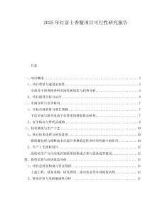 2025年紅富士香精項目可行性研究報告