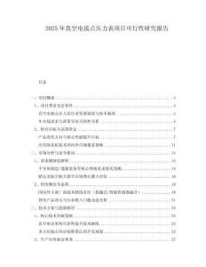 2025年真空電接點(diǎn)壓力表項(xiàng)目可行性研究報(bào)告