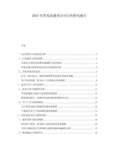 2025年罩光清漆項目可行性研究報告