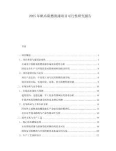 2025年帆布阻燃清漆項目可行性研究報告