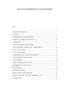 2025年葉綠素銅鉀鹽項(xiàng)目可行性研究報(bào)告