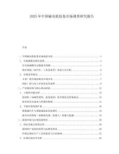 2025年中國磁電機膠卷市場調(diào)查研究報告