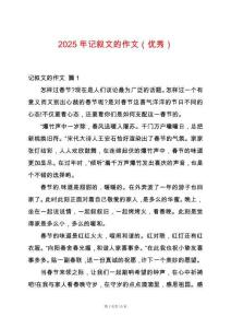 2025年記敘文的作文（優(yōu)秀）