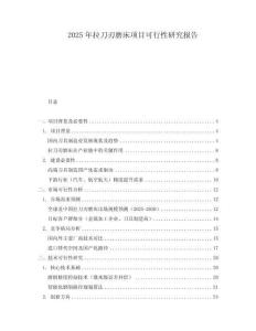 2025年拉刀刃磨床項目可行性研究報告