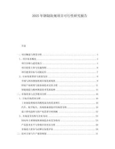 2025年鋼制塊規(guī)項目可行性研究報告