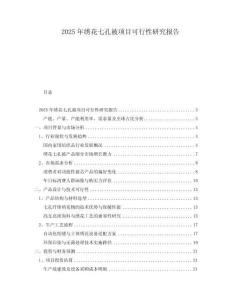 2025年繡花七孔被項(xiàng)目可行性研究報(bào)告