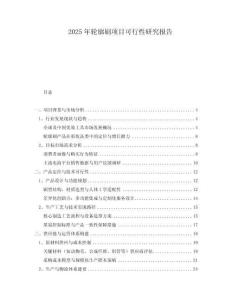 2025年輪廓刷項目可行性研究報告