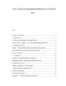 2025年托盤式拉擠玻璃鋼電纜橋架項(xiàng)目可行性研究報(bào)告