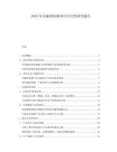 2025年壓腿訓(xùn)練器項(xiàng)目可行性研究報(bào)告