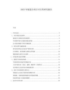 2025年輥道臺(tái)項(xiàng)目可行性研究報(bào)告